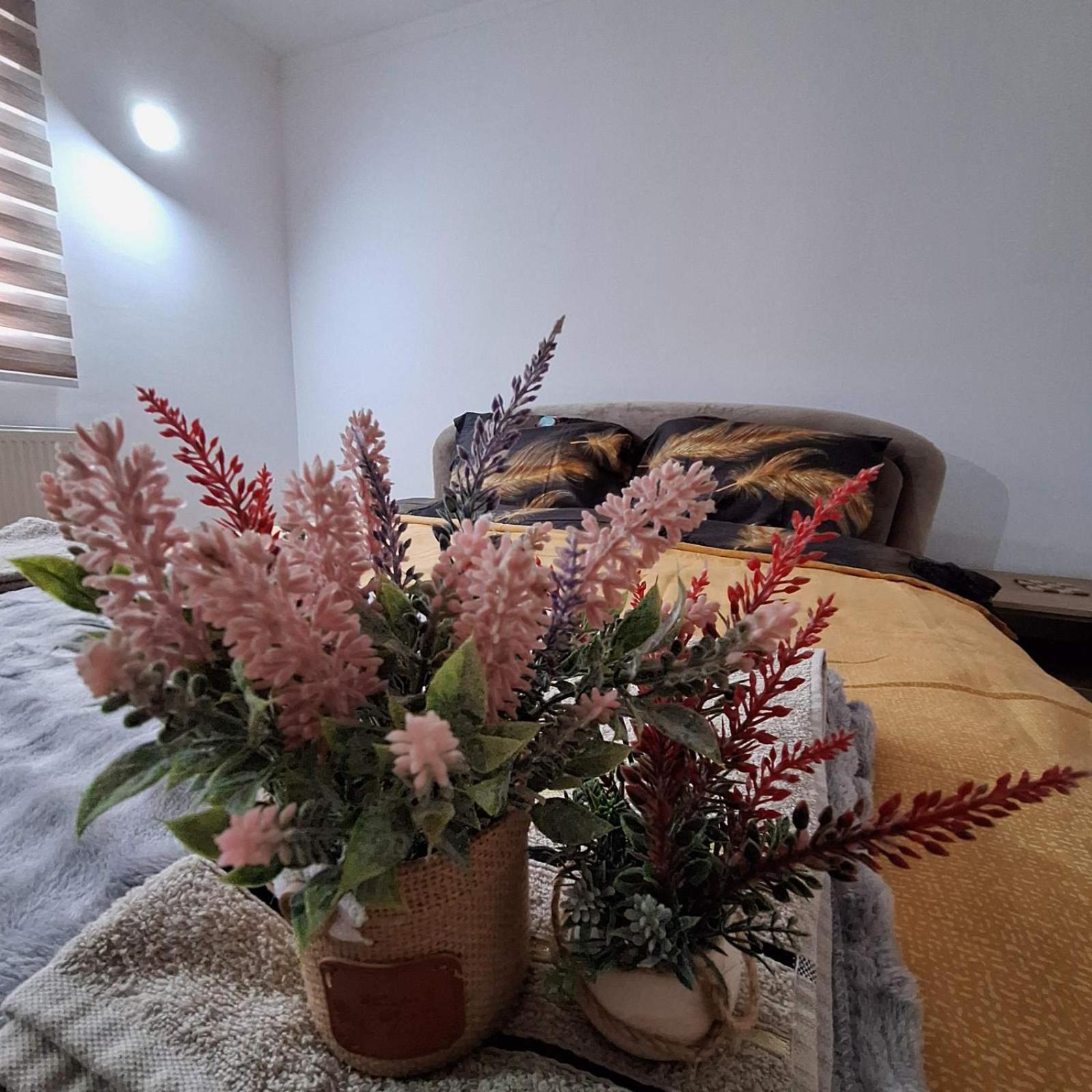 Apartment "Mira" 福查 外观 照片